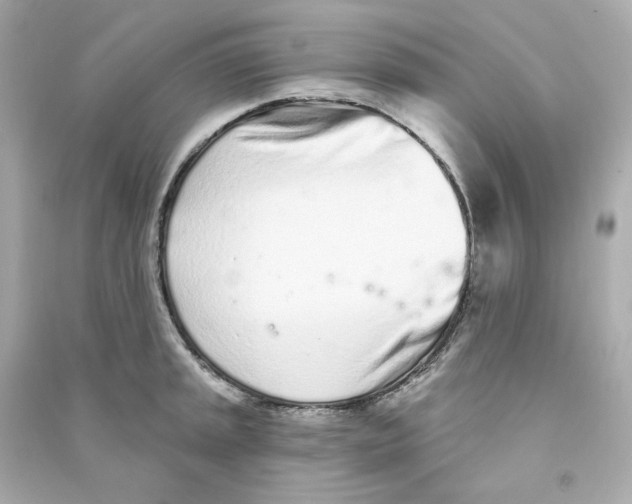 X0000090461045200708102107