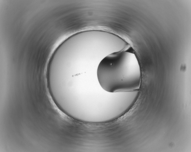 X0000090461046200708102107
