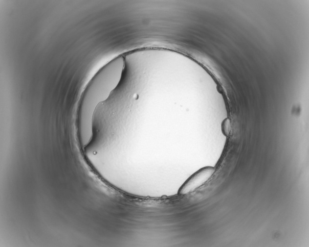 X0000090461048200708102107