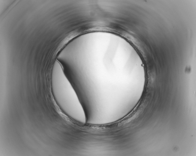 X0000090461049200708102107