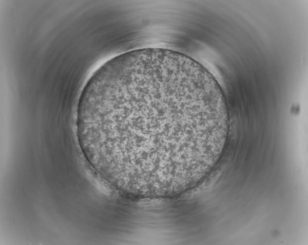 X0000090461051200708102107