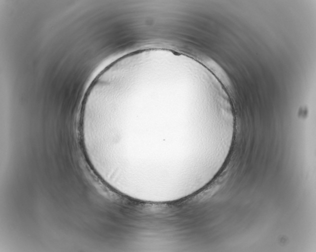 X0000090461052200708102107