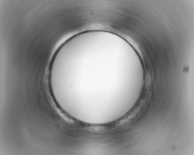 X0000090461053200708102107