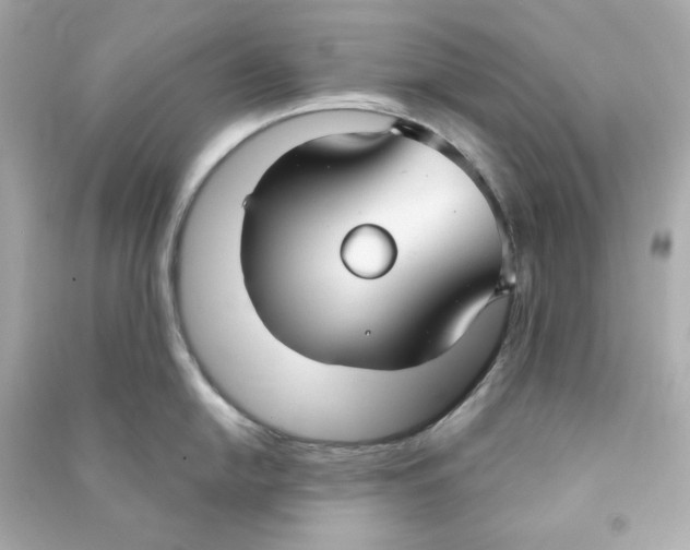X0000090461054200708102107