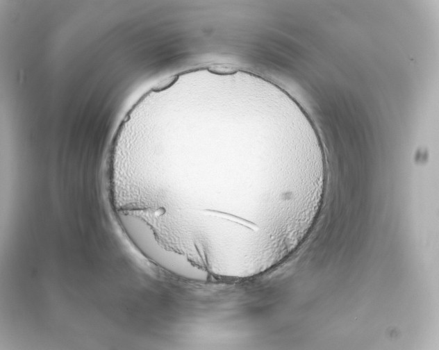 X0000090461056200708102107