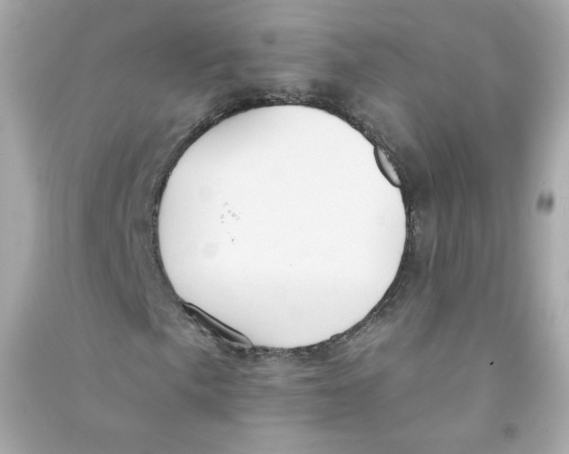 X0000090461057200708102106