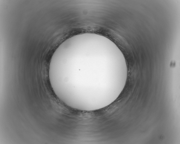 X0000090461058200708102106