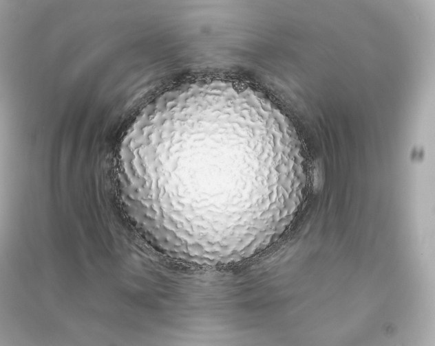 X0000090461059200708102106