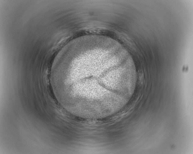 X0000090461060200708102106