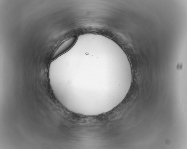 X0000090461061200708102106