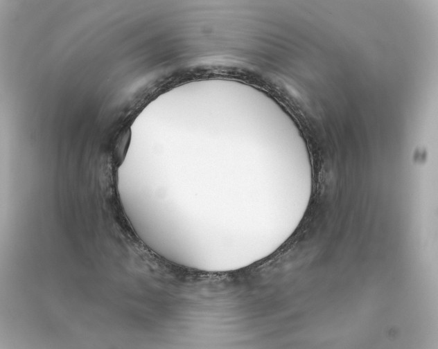 X0000090461062200708102106