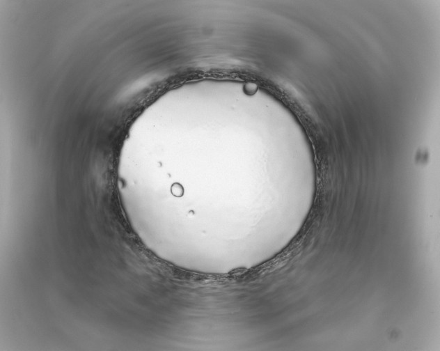 X0000090461063200708102106
