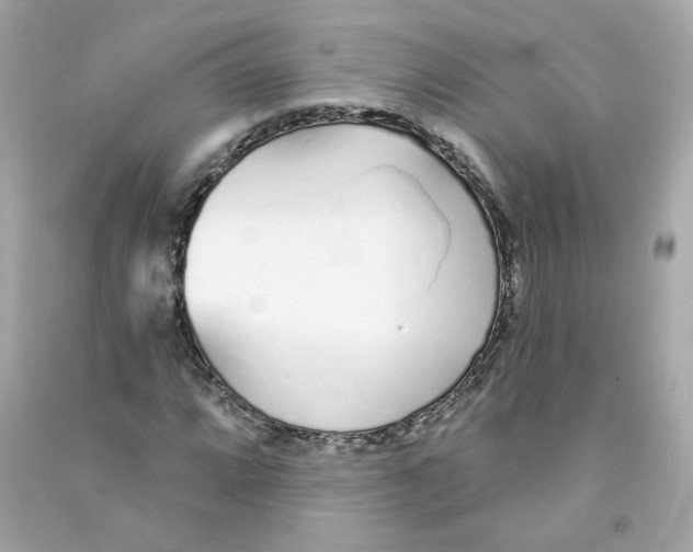 X0000090461064200708102106