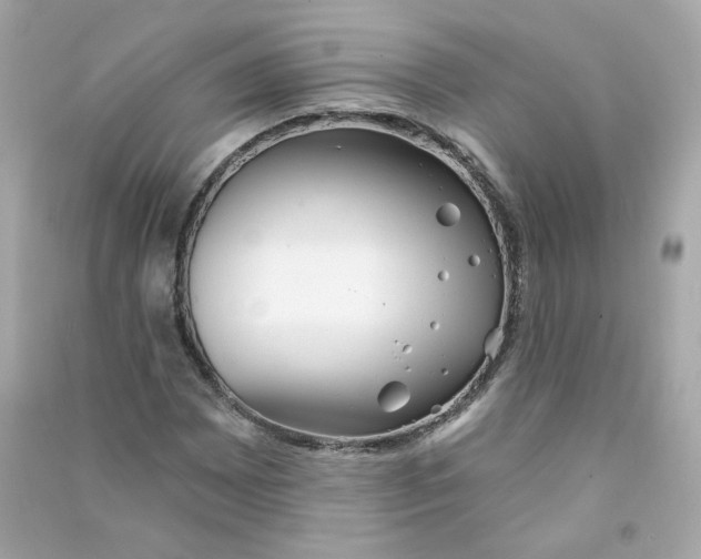 X0000090461065200708102106