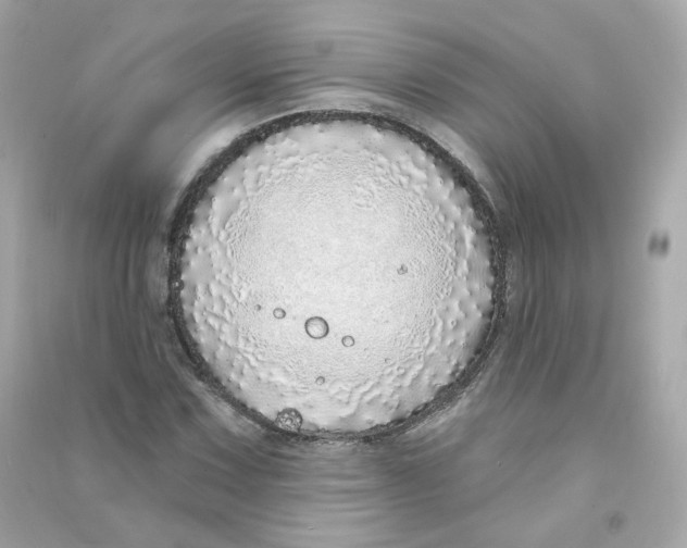 X0000090461067200708102106