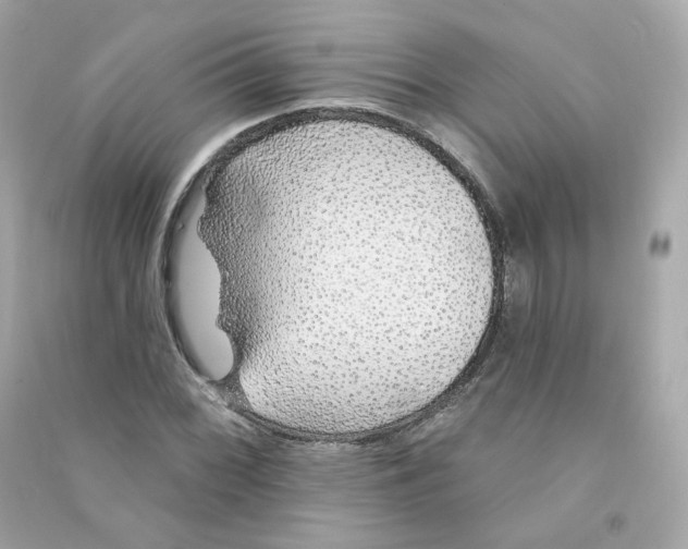 X0000090461068200708102106