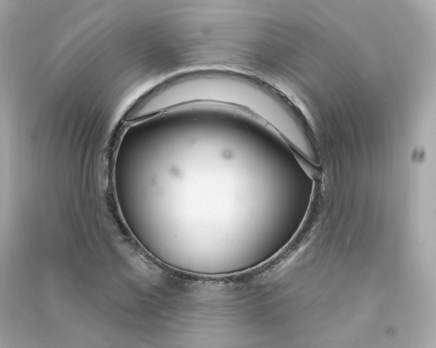 X0000090461069200708102106