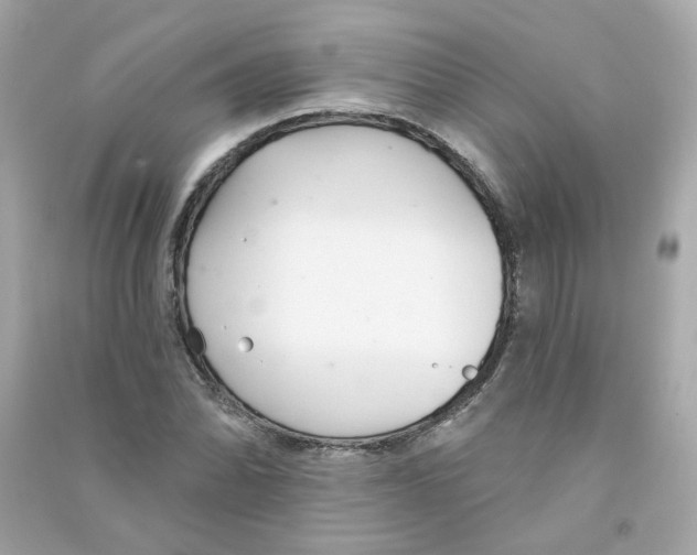 X0000090461070200708102106