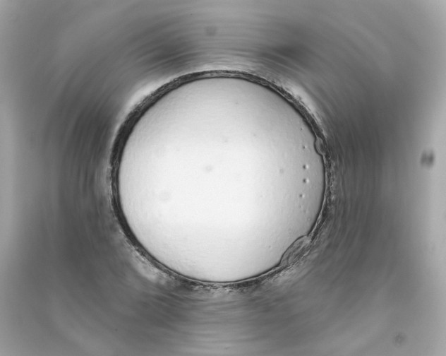 X0000090461072200708102106