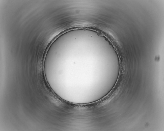 X0000090461073200708102106