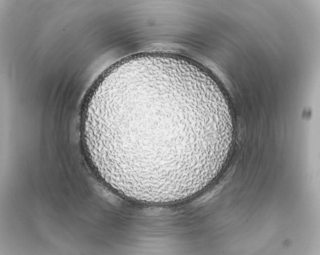 X0000090461075200708102106