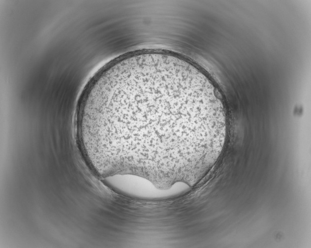X0000090461076200708102106