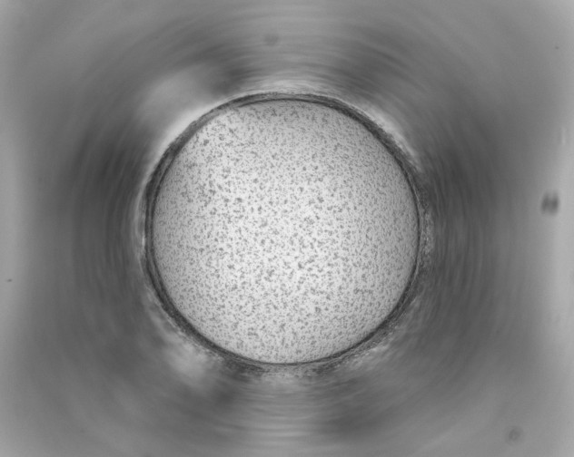 X0000090461078200708102106