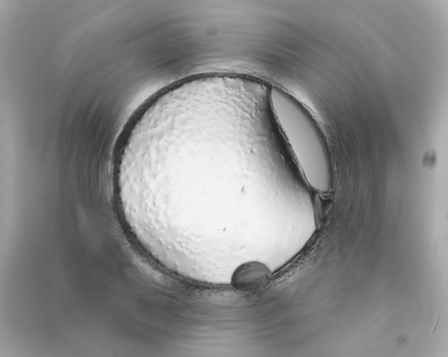 X0000090461079200708102106