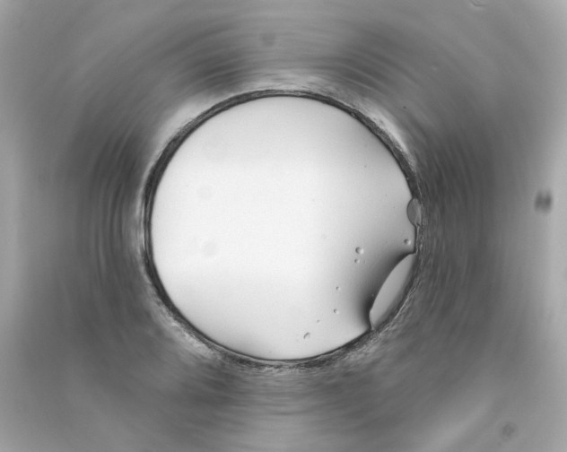 X0000090461080200708102106