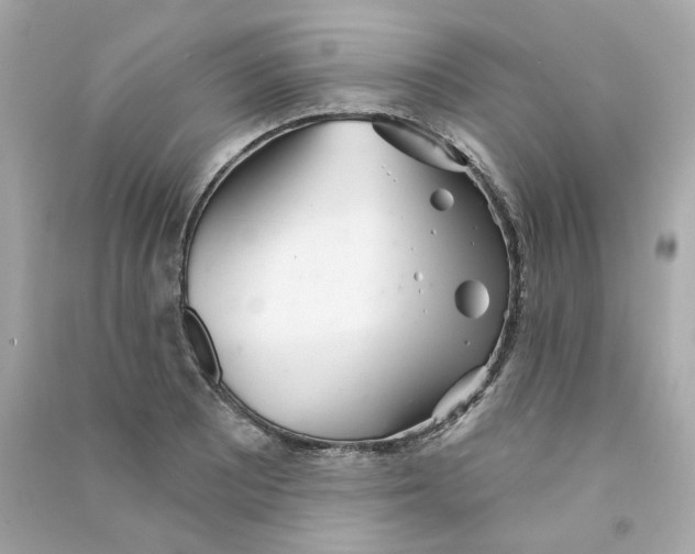 X0000090461081200708102106