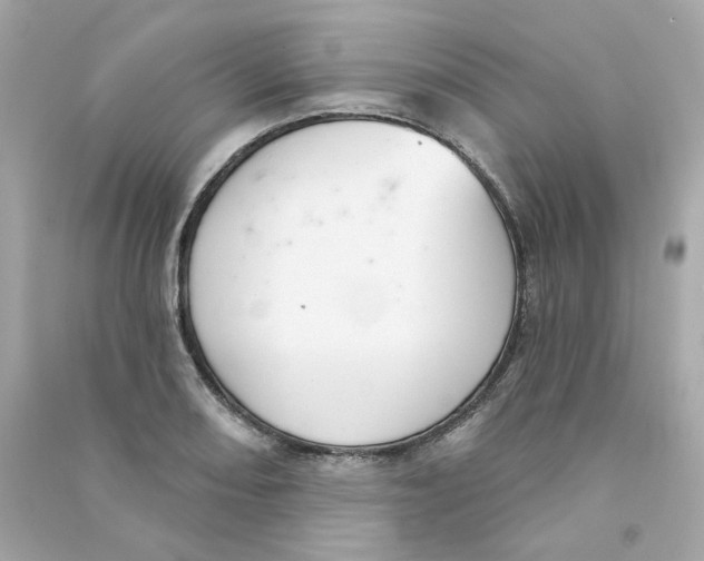 X0000090461082200708102106