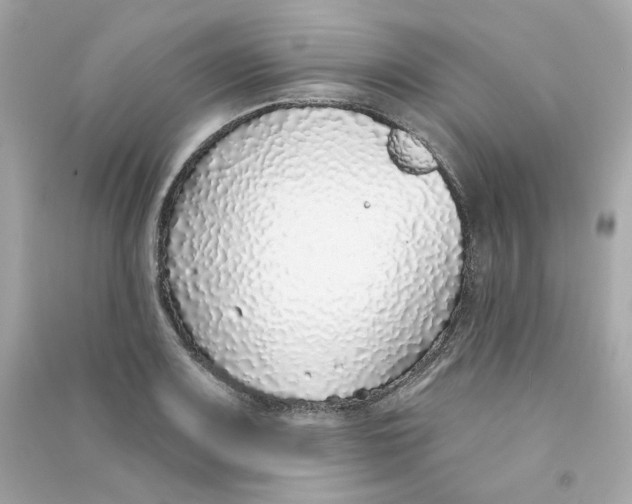 X0000090461083200708102106