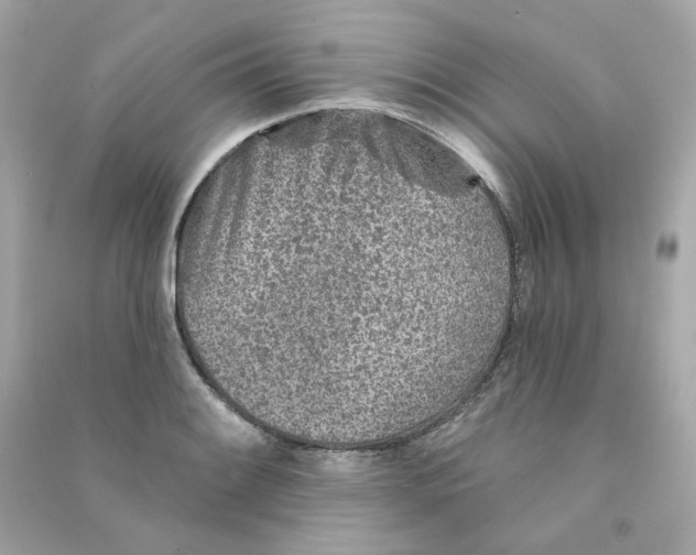 X0000090461084200708102106