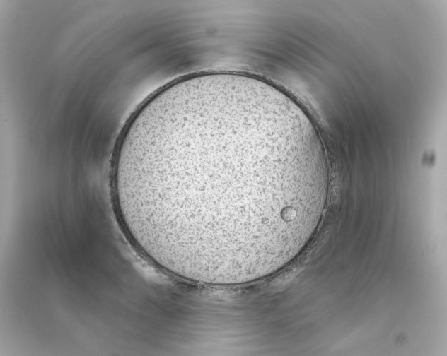X0000090461086200708102106