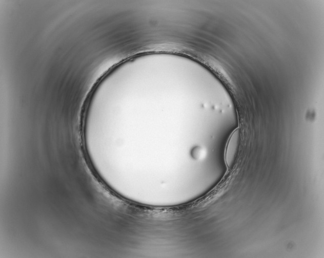 X0000090461087200708102106