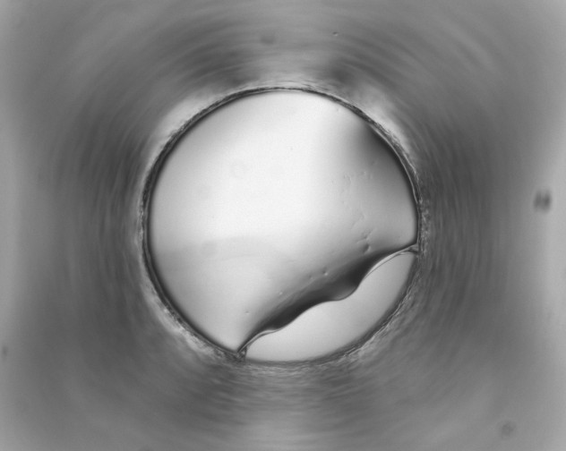 X0000090461088200708102106