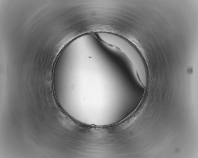 X0000090461089200708102106