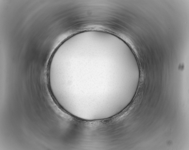 X0000090461090200708102106
