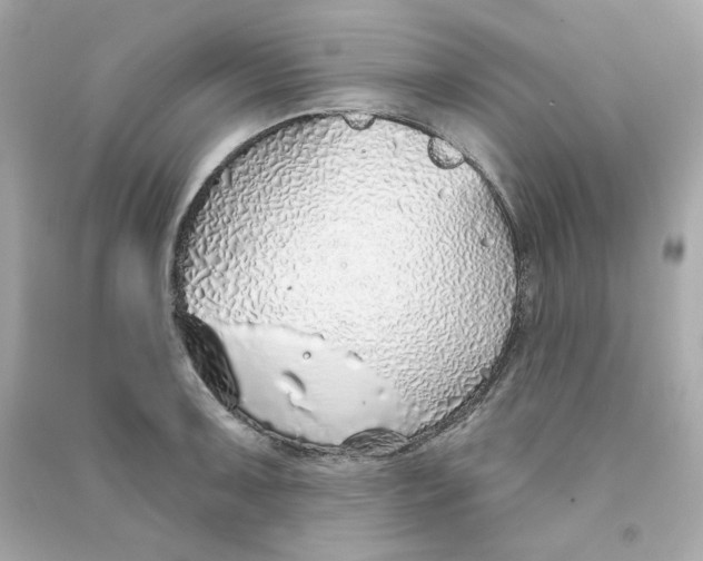 X0000090461091200708102106