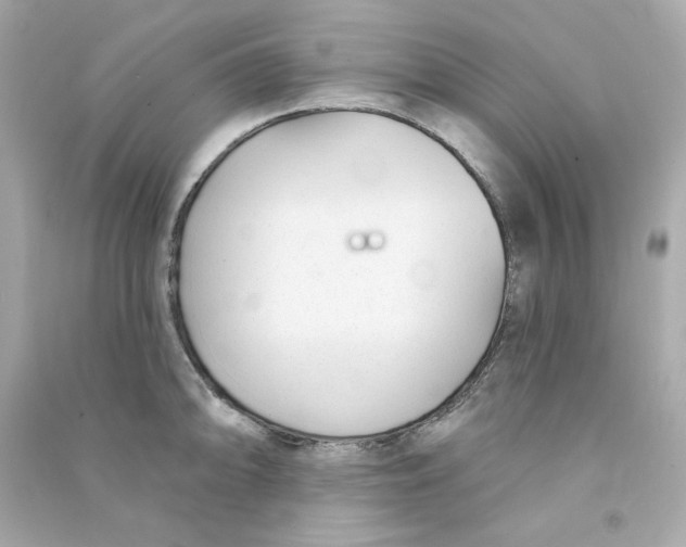 X0000090461094200708102106