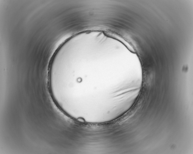 X0000090461095200708102106