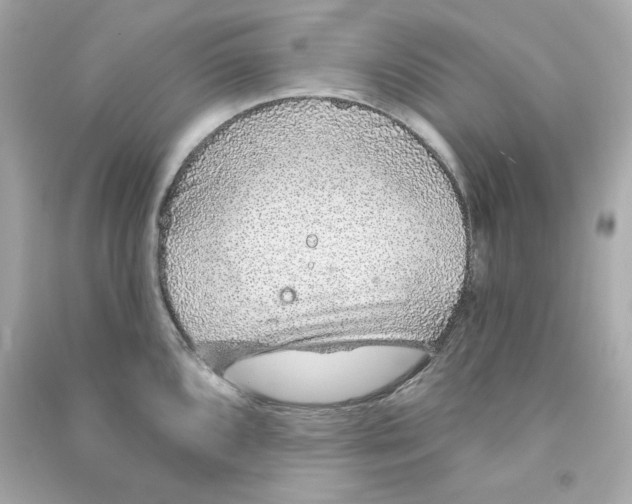 X0000090461096200708102106