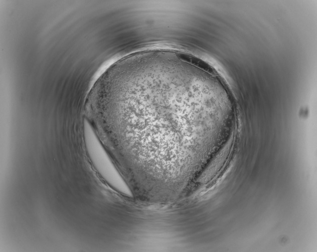 X0000090461097200708102106