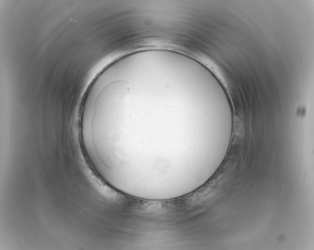 X0000090461098200708102106