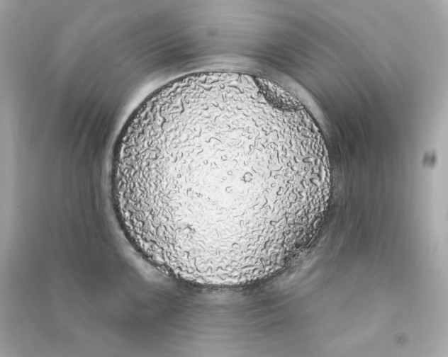 X0000090461099200708102106
