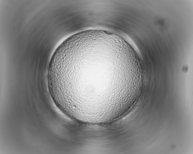 X0000090461100200708102106