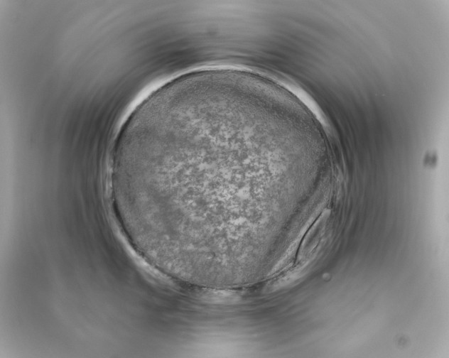 X0000090461101200708102106