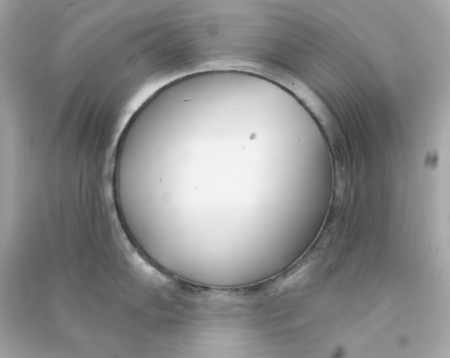 X0000090461102200708102106