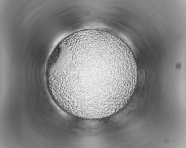 X0000090461103200708102106