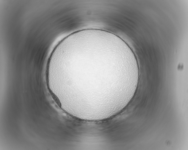 X0000090461104200708102106